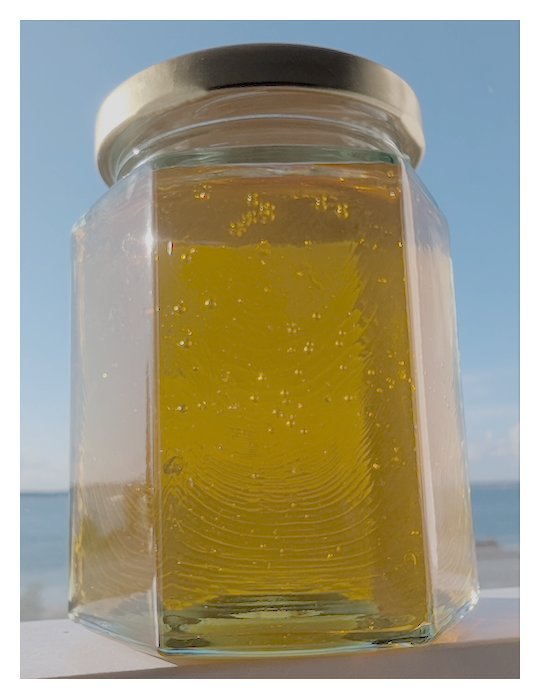 500g Organic Honey